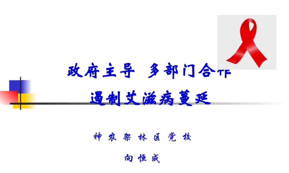 中央学校多部门合作遏制艾滋病蔓延2005-湖北.pptx