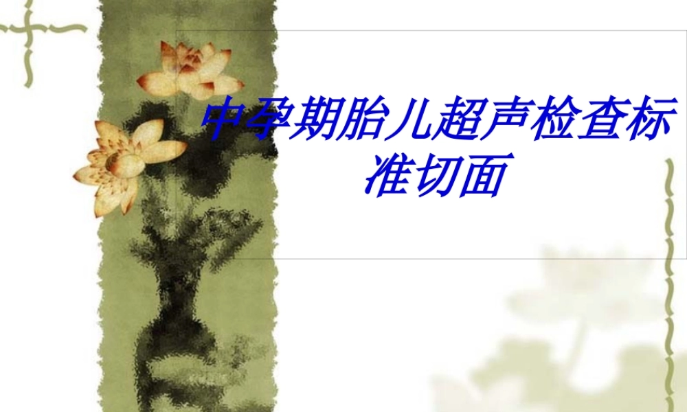 中孕期胎儿超声检查标准切面.pptx