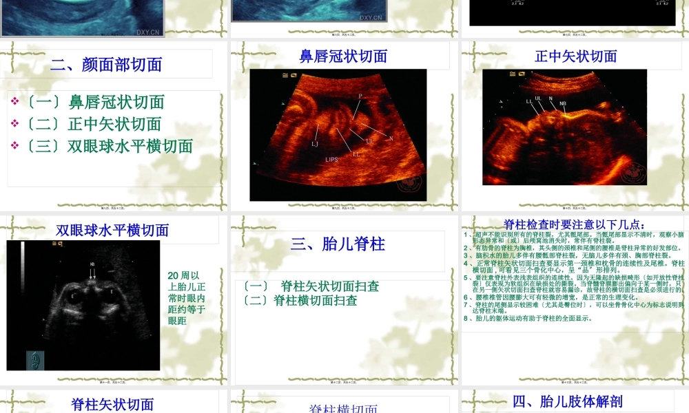 中孕期胎儿超声检查标准切面.pptx