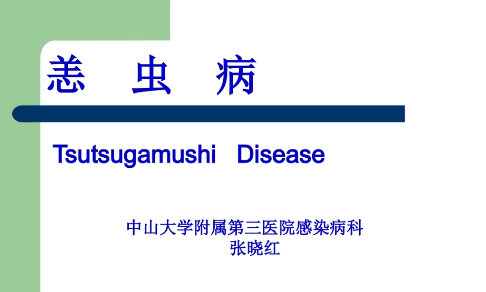 中山大学恙虫病分析.pptx