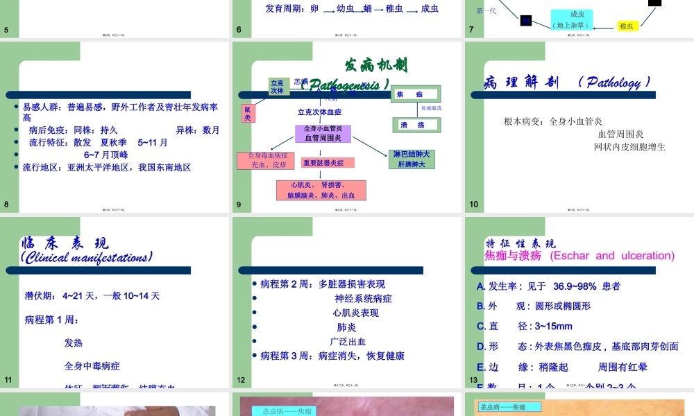 中山大学恙虫病分析.pptx