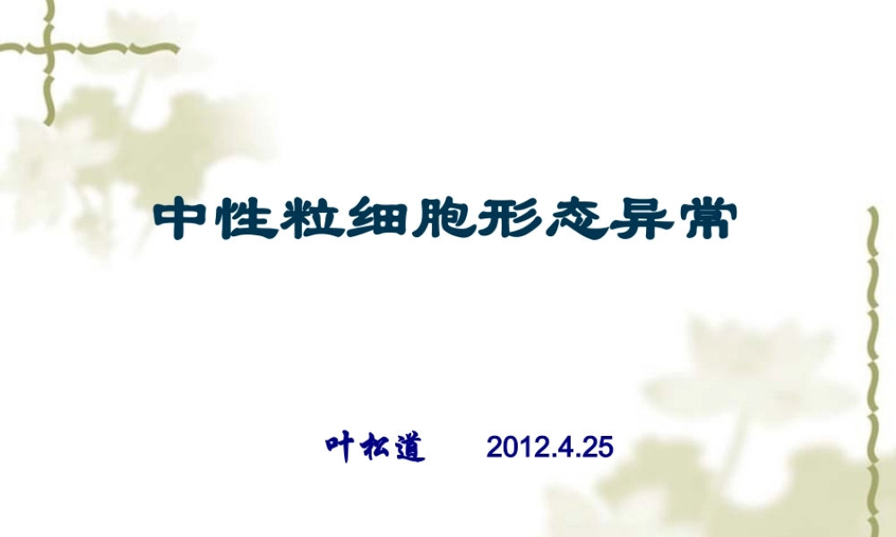 中性粒细胞形态异常剖析.pptx