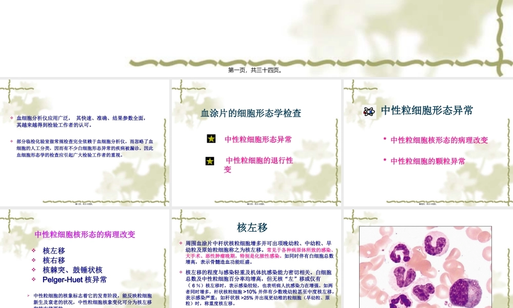 中性粒细胞形态异常剖析.pptx