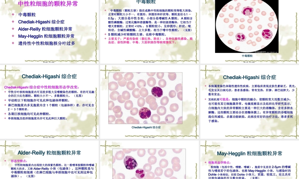 中性粒细胞形态异常剖析.pptx
