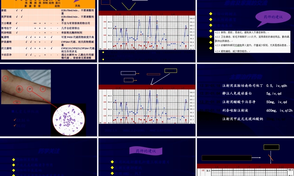 中性粒细胞减少症肺部感染药学服务案例分析.ppt