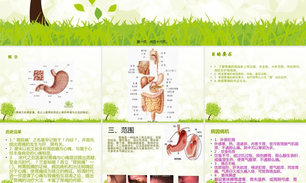 中成药.胃痛.pptx