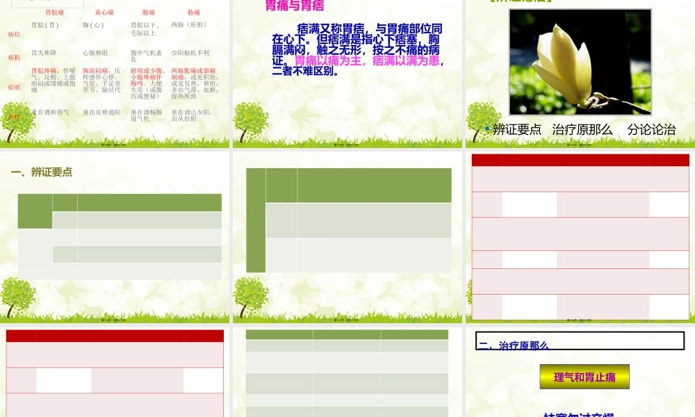 中成药.胃痛.pptx