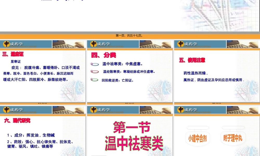 中成药学章温里中成药.pptx