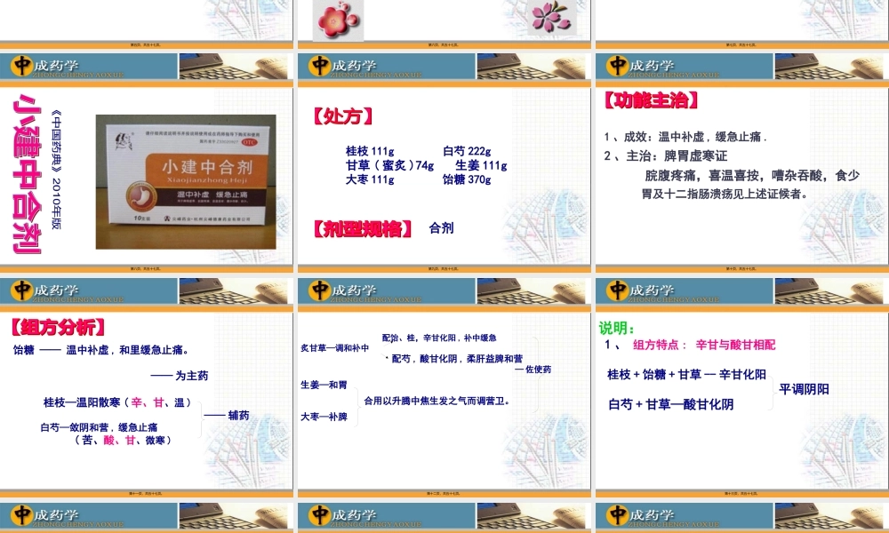 中成药学章温里中成药.pptx