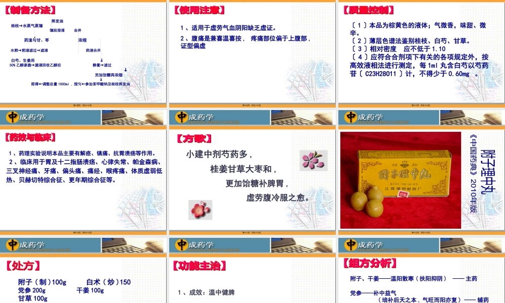 中成药学章温里中成药.pptx