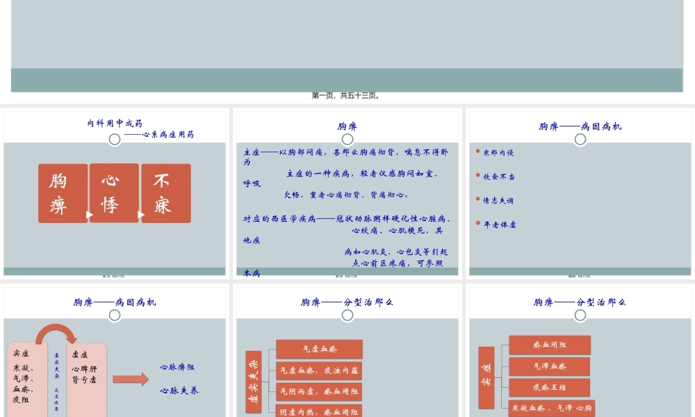中成药合理应用-PPT文档资料.pptx