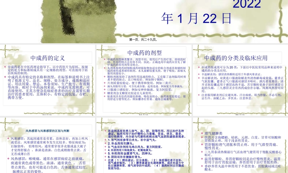 中成药的合理应用.pptx
