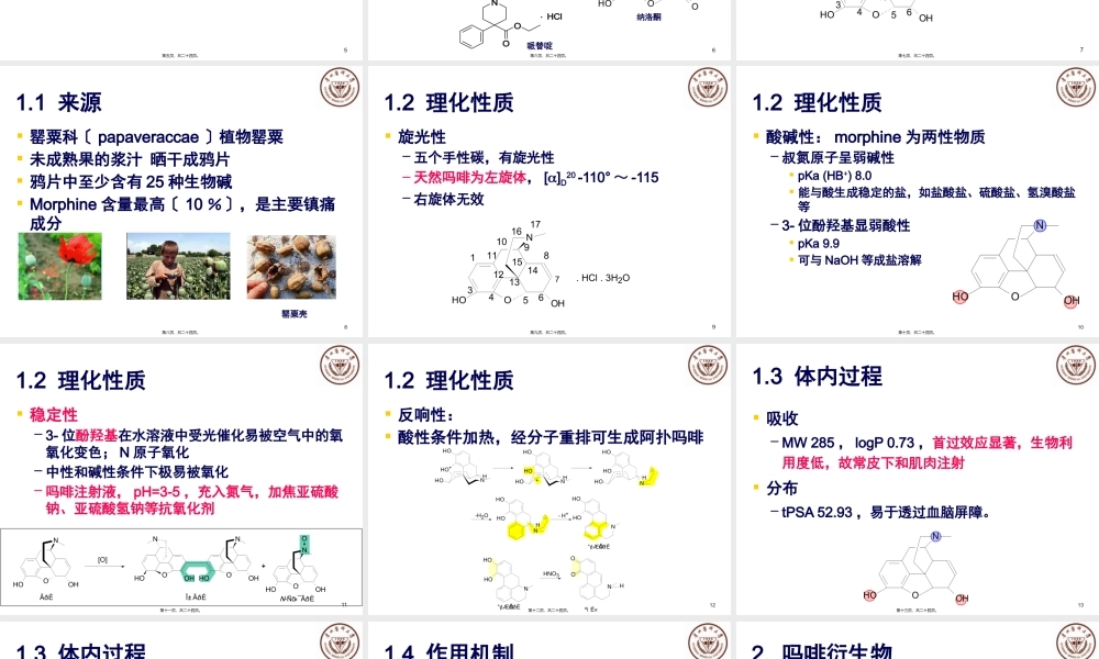 中枢性镇痛药解读.pptx