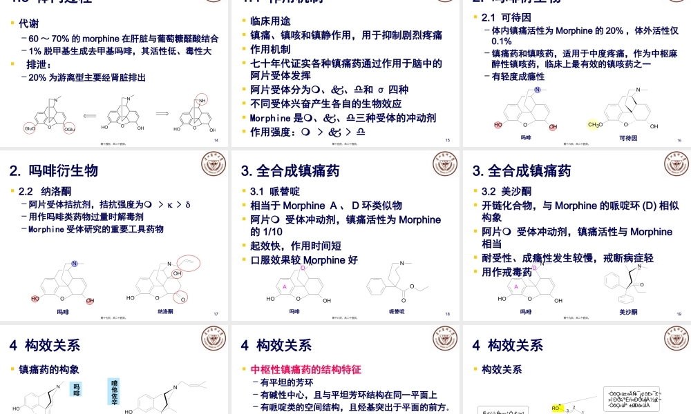 中枢性镇痛药解读.pptx