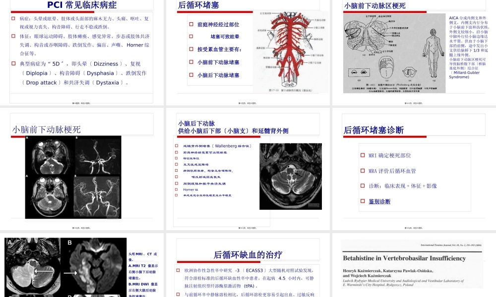 中枢性眩晕诊治.pptx