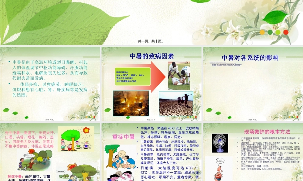 中暑急救.pptx