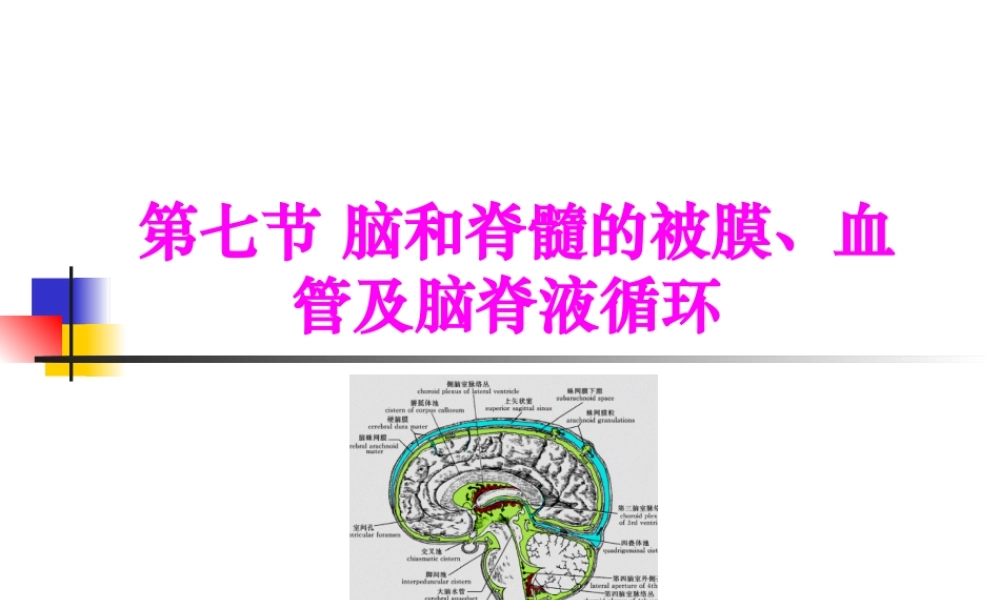 中枢神经系统(六脑和脊髓的被膜、血管及脑脊液循环-).pptx