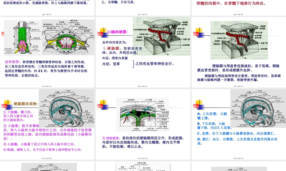 中枢神经系统(六脑和脊髓的被膜、血管及脑脊液循环-).pptx