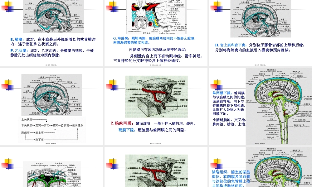 中枢神经系统(六脑和脊髓的被膜、血管及脑脊液循环-).pptx