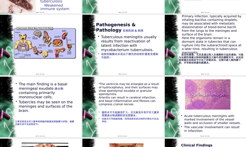 中枢神经系统感染-2.ppt.pptx