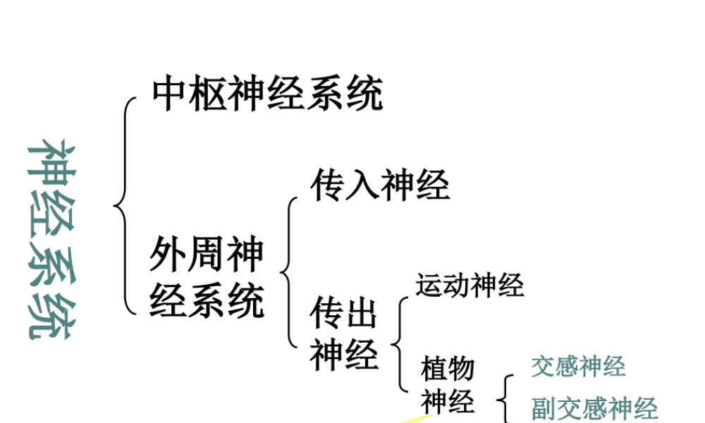 中枢神经系统药理.pptx