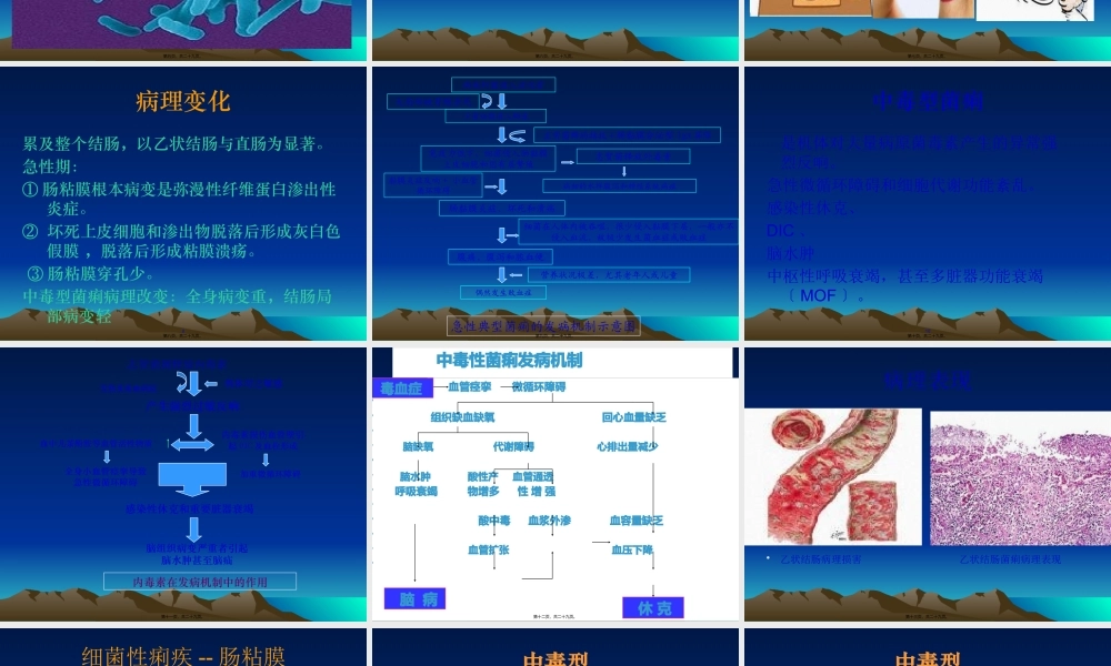 中毒性细菌性痢疾.pptx