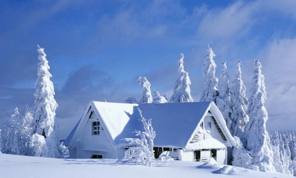 中班健康：天气冷了怎么办？.pptx