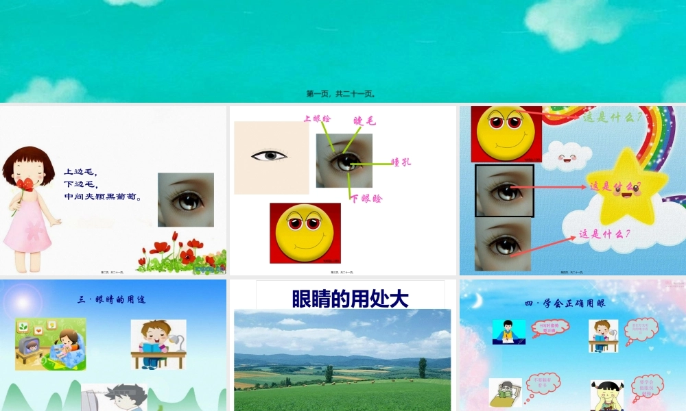 中班健康：爱护眼睛.pptx