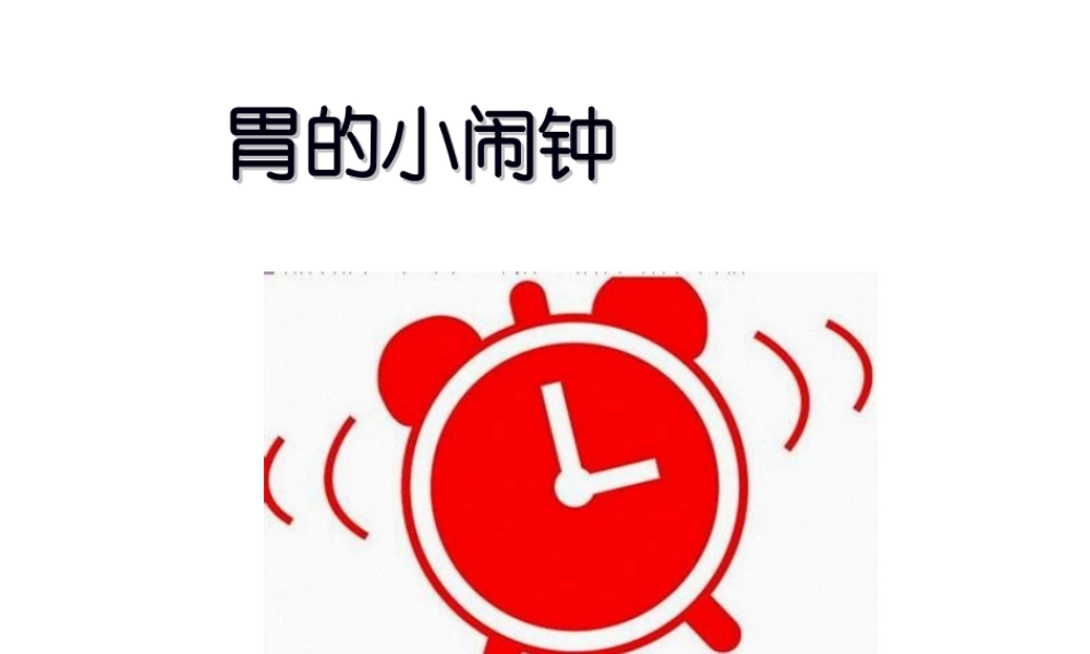 中班健康：肠胃小闹钟.ppt