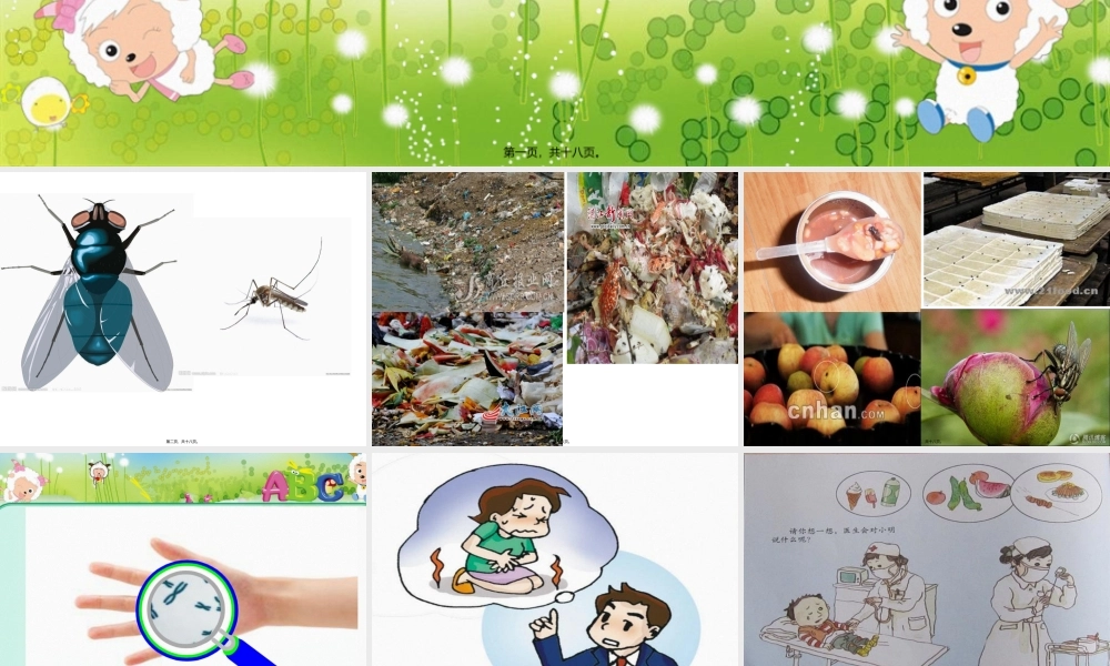 中班健康-夏季的卫生.pptx