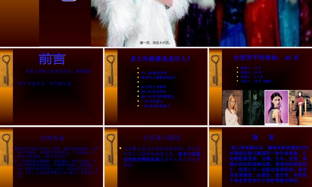 中老年人营养.pptx