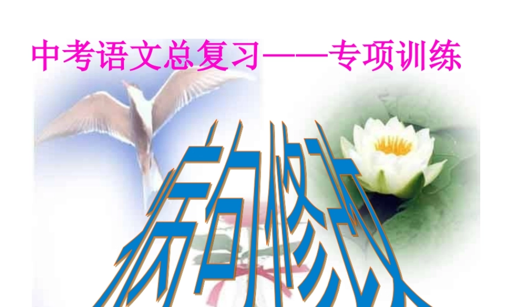 中考总复习病句修改.pptx