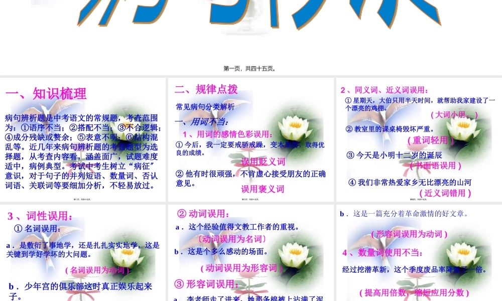 中考总复习病句修改.pptx