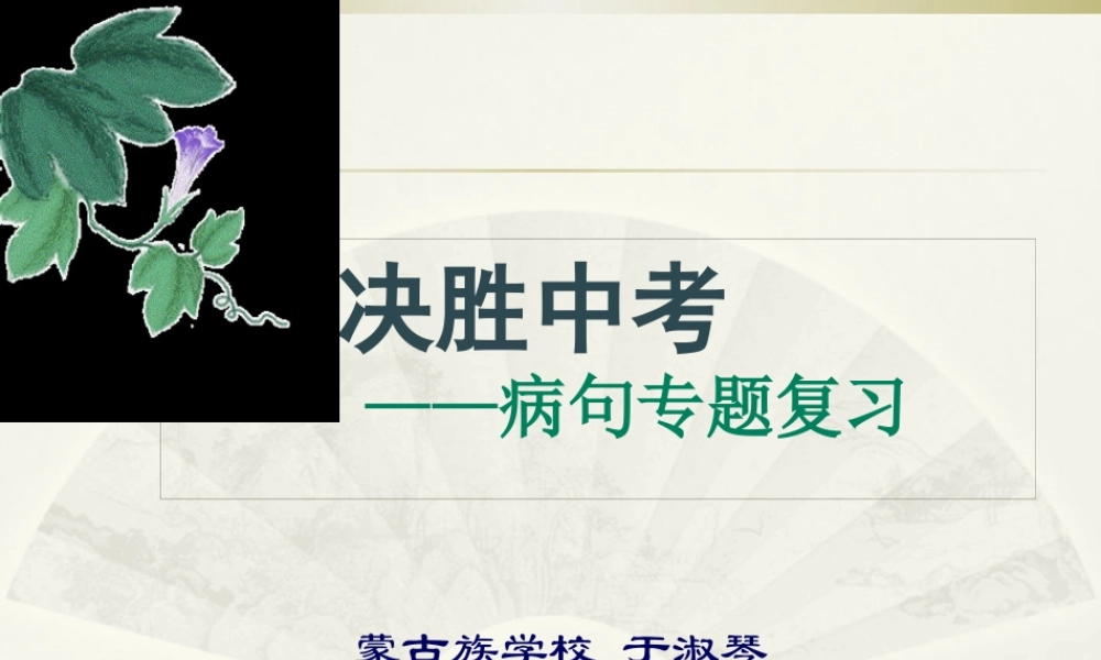 中考病句类型及辨析.pptx