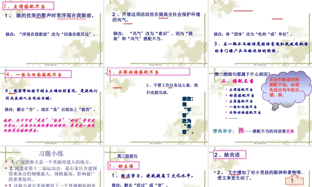 中考病句修改ppt.pptx