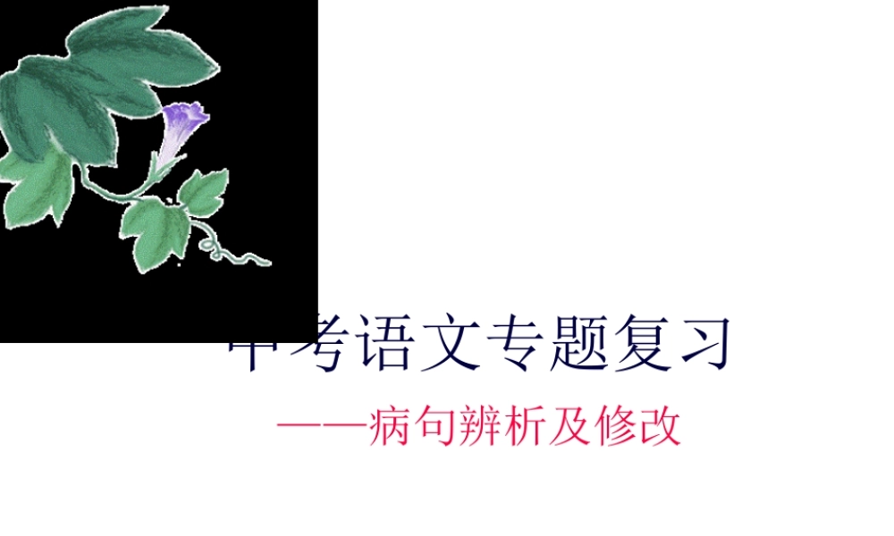 中考病句辨析与修改使用.pptx