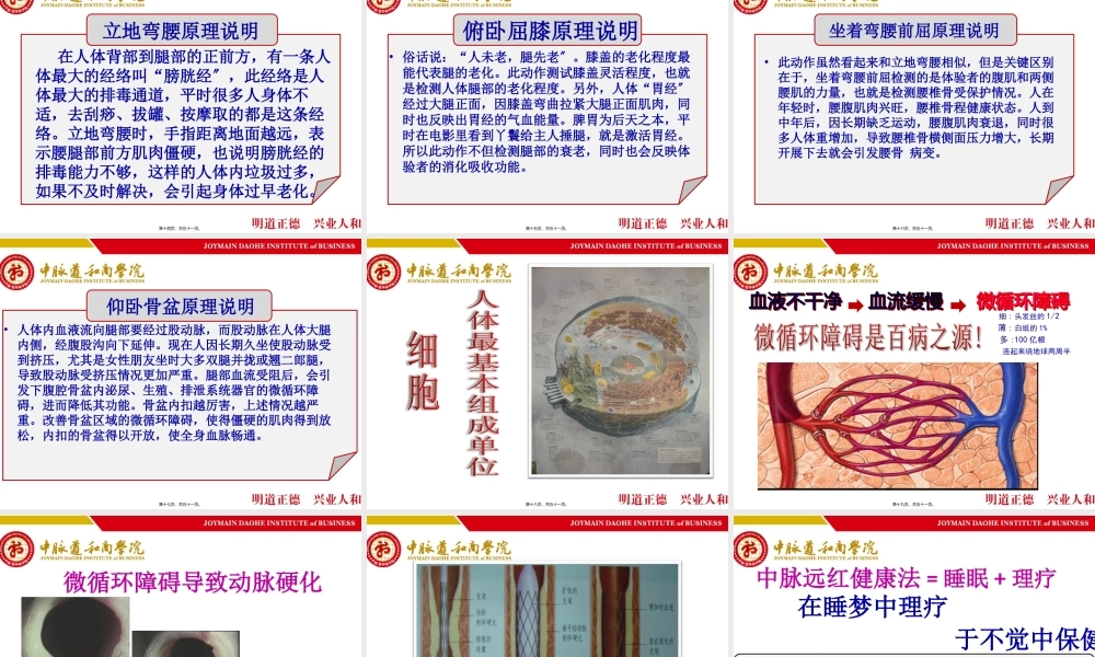 中脉床垫睡眠系统介绍.pptx