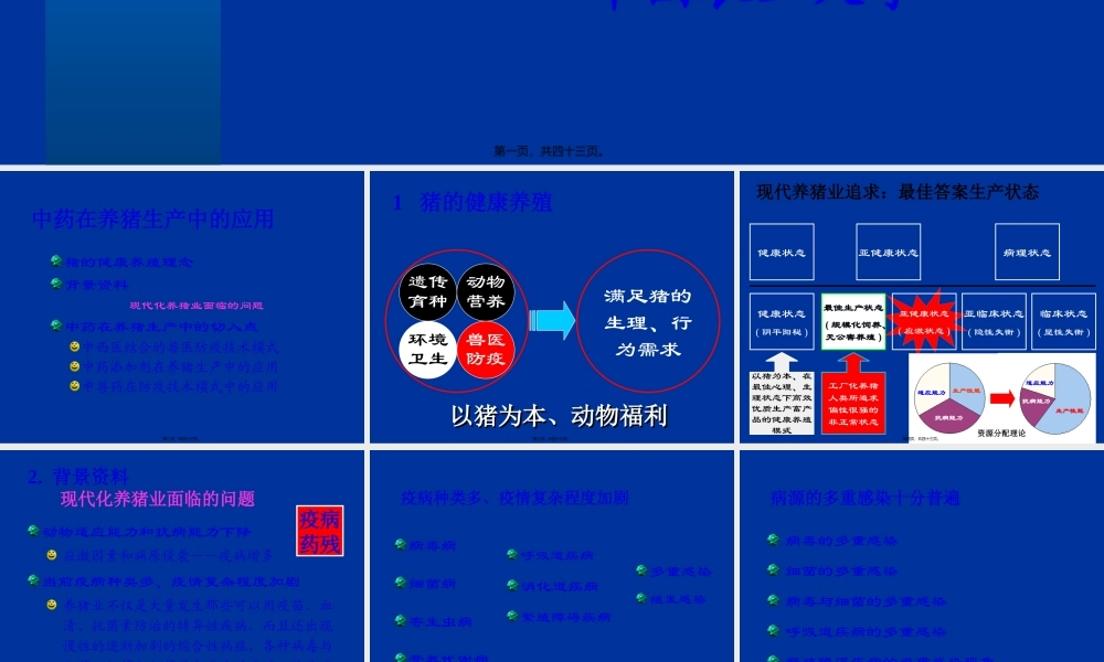 中草药饲料添加剂重点.pptx