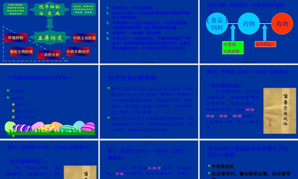 中草药饲料添加剂重点.pptx