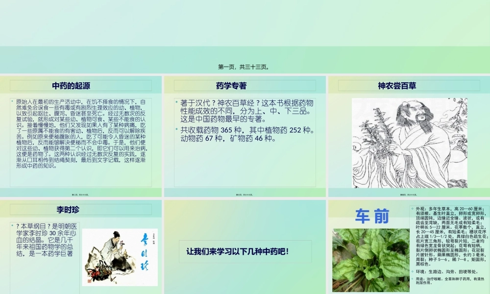 中草药的认识.pptx