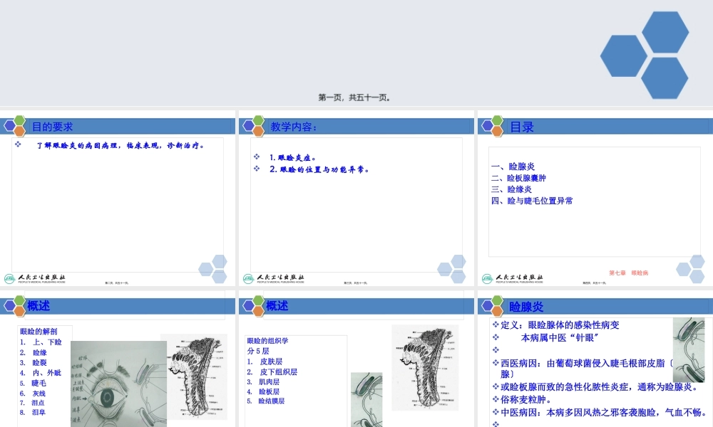 中西医眼睑病.pptx
