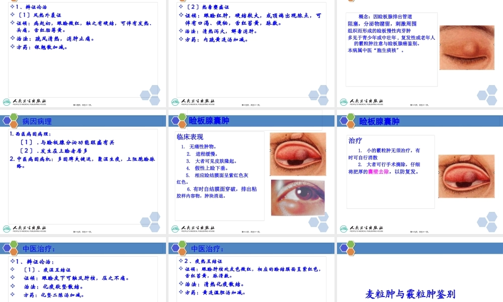 中西医眼睑病.pptx