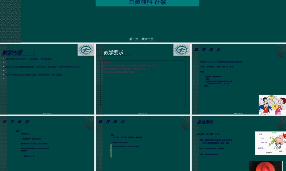 中西医结合耳鼻喉鼻炎.ppt