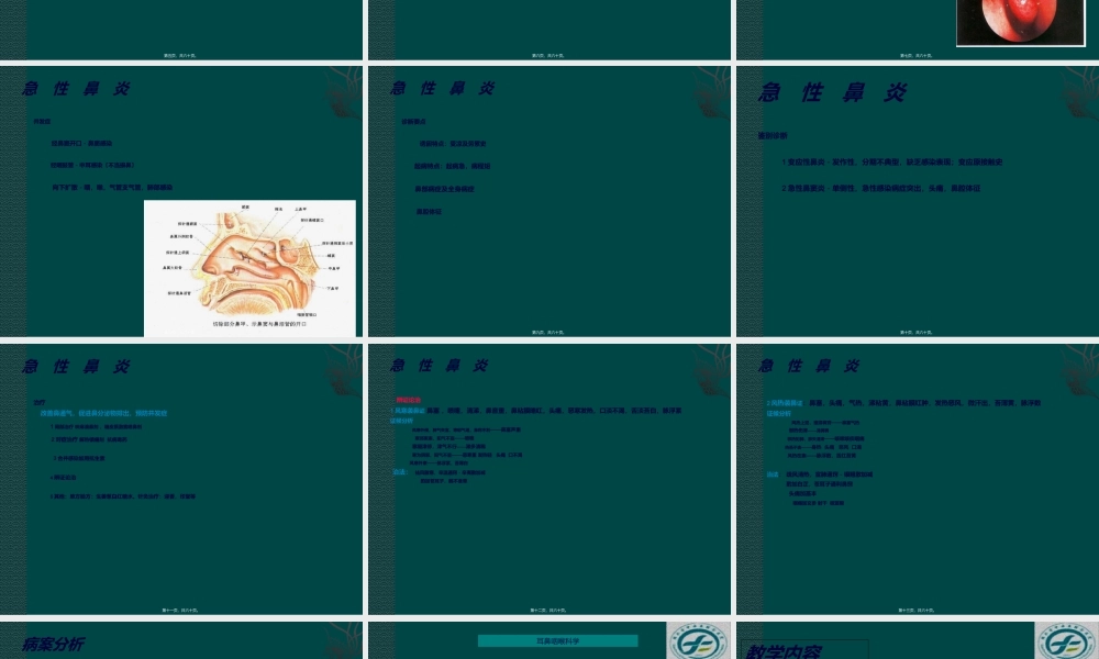 中西医结合耳鼻喉鼻炎.ppt