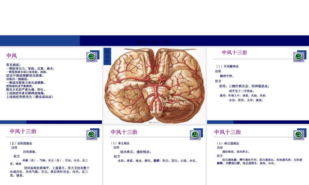 中风十三治.pptx
