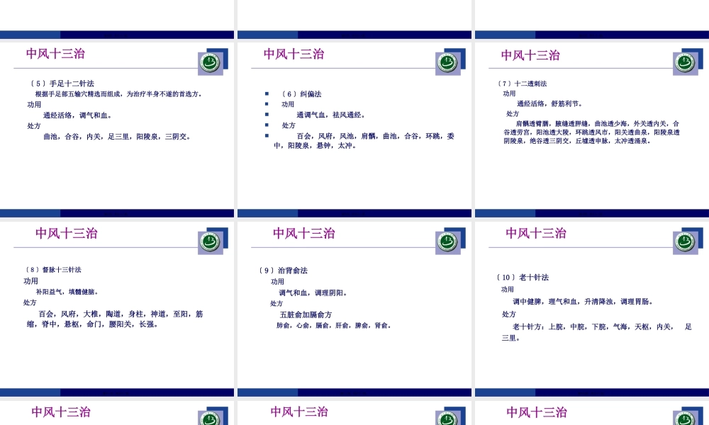 中风十三治.pptx