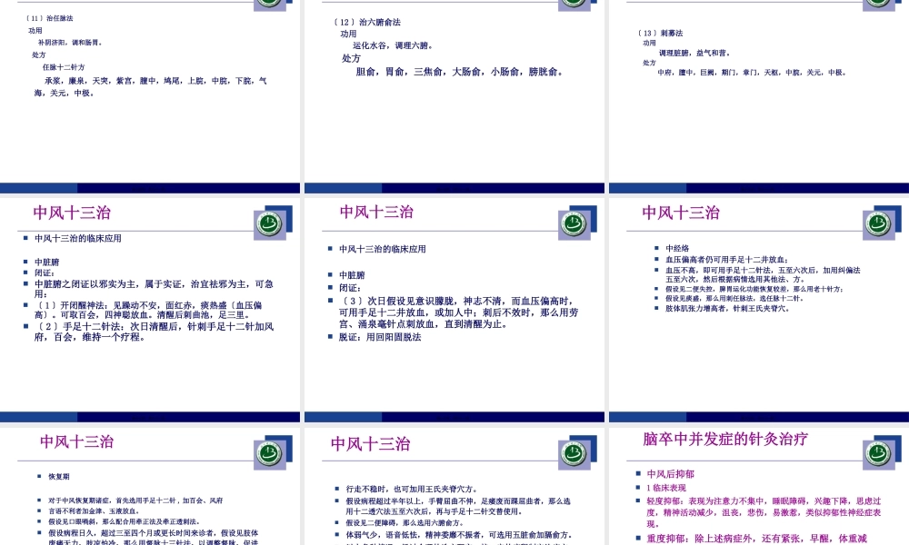 中风十三治.pptx
