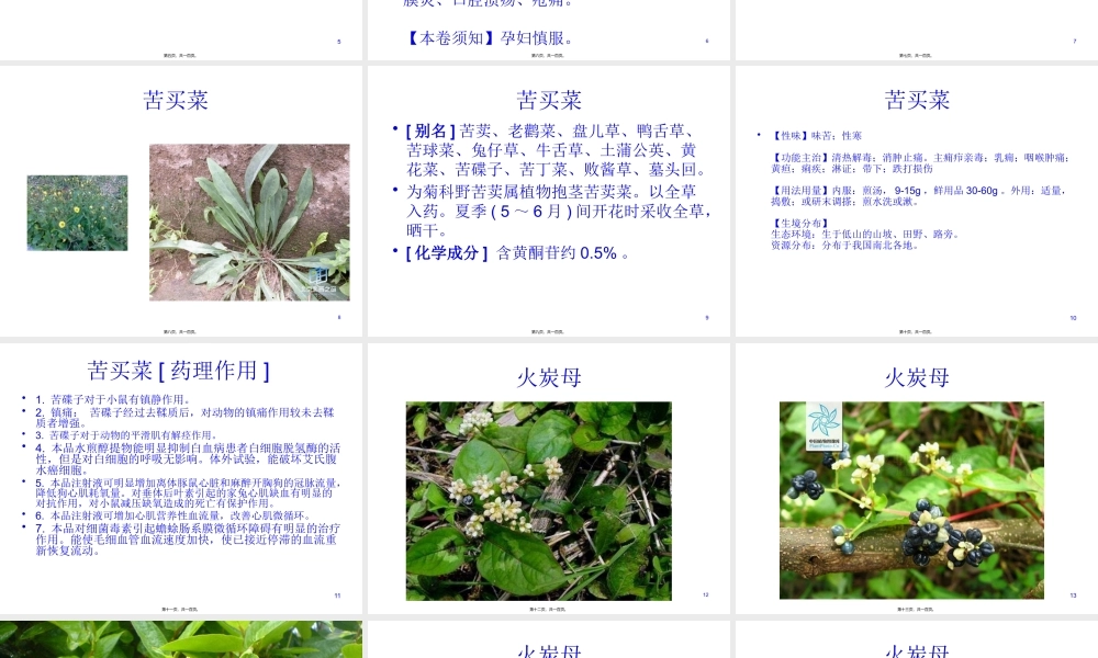 中草药PPT.pptx