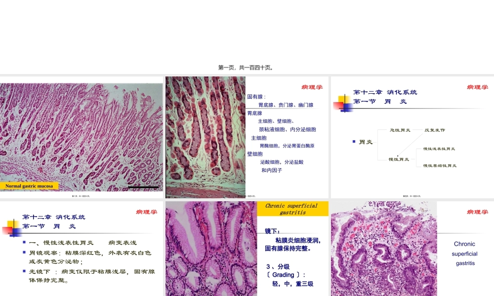 中西医结合消化系统.pptx