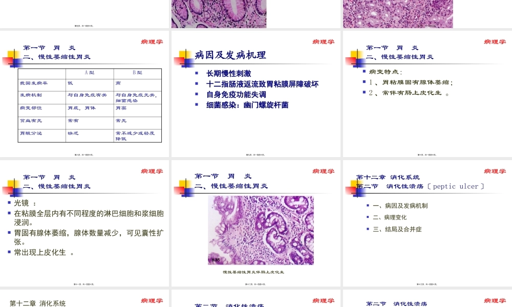 中西医结合消化系统.pptx